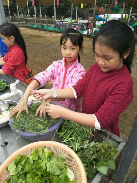 育才学校亲子科普教育、火锅野炊、有机蔬菜采摘